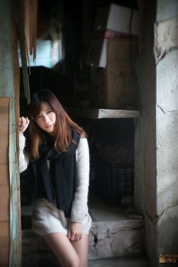 黑狐26